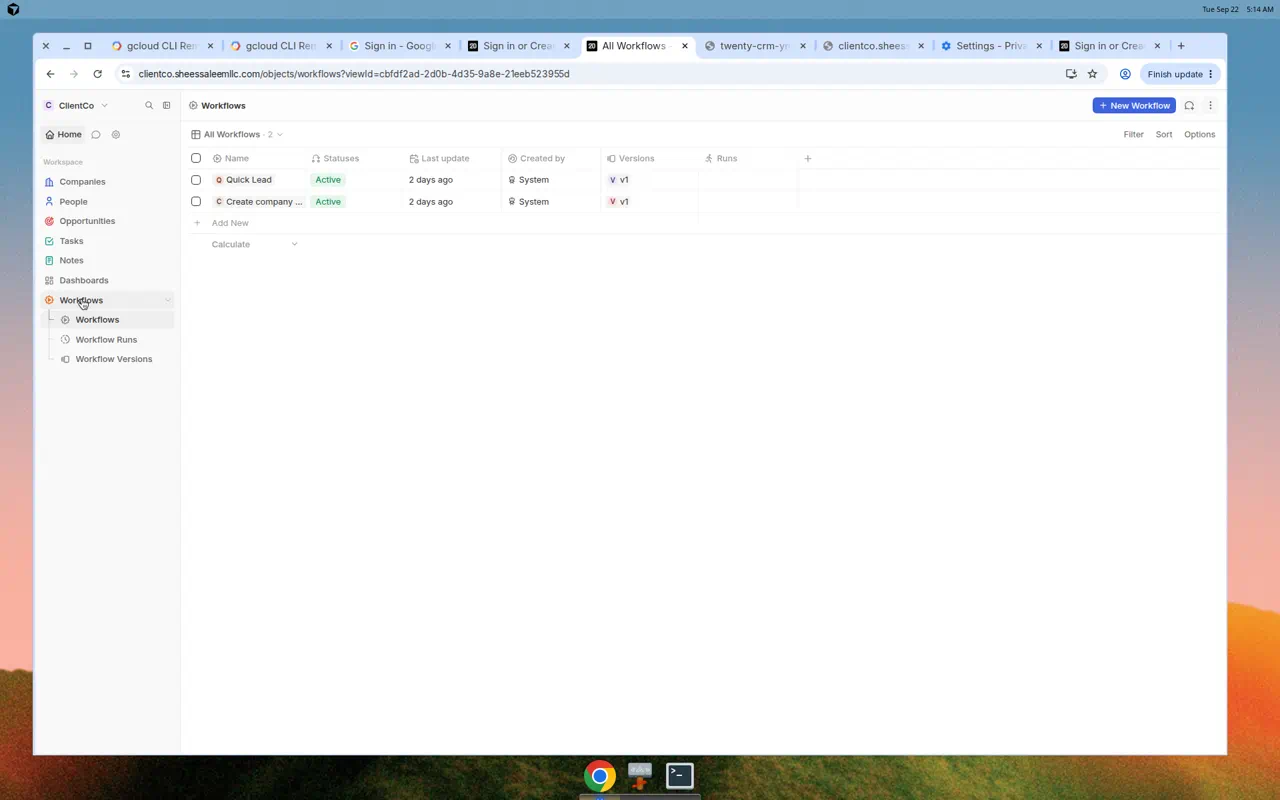 Workflows in Twenty CRM